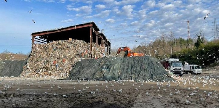 В Сочи вывезли около 80% отходов с перегрузочной станции