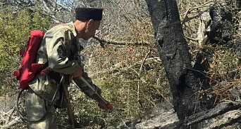 Новый пожар в заповеднике «Утриш» под Анапой ликвидировали