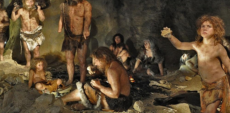 Найден коренной кубанец! Учёные «Сириуса» исследовали зуб неандертальца