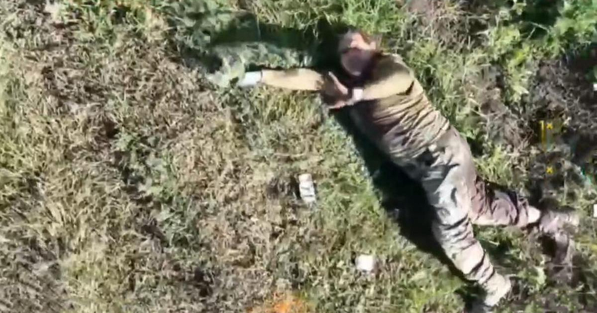 «Война до последнего украинца»: боевики ВСУ убили своего солдата, который хотел сдаться в русский плен