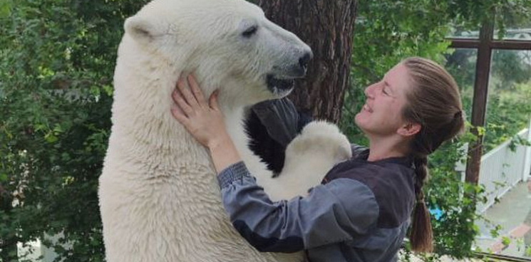 Белый медведь из Геленджика уедет в Сибирь