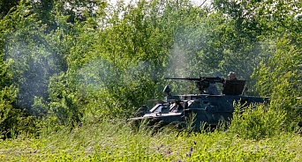 «Российские кусты и деревья продолжают уничтожать бойцов ВСУ»: в американском издании New York Times заявили, что Украина потеряла целую бригаду стратегического резерва