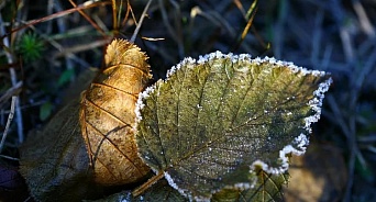 В Краснодарском крае в первый день октября ожидаются заморозки