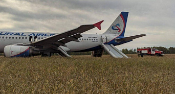«Мягкая посадка прямо на пшеницу!» Самолет Airbus-A320 «Уральских авиалиний», который летел из Сочи в Омск, совершил аварийную посадку в поле - ВИДЕО