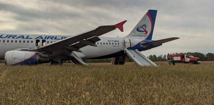 «Мягкая посадка прямо на пшеницу!» Самолет Airbus-A320 «Уральских авиалиний», который летел из Сочи в Омск, совершил аварийную посадку в поле - ВИДЕО
