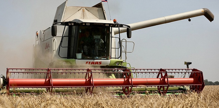 В Краснодарском крае в этом году собрали рекордные 12,4 млн тонн зерна