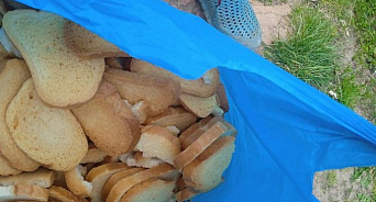 «Старики и дети пусть грызут сухари!» На Украине многодетные семьи получили в качестве гумпомощи мешки с сухарями