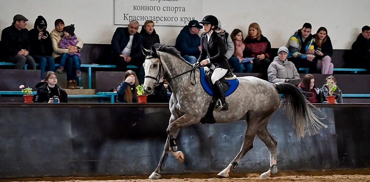 На Кубани прошли краевые соревнования по конному спорту