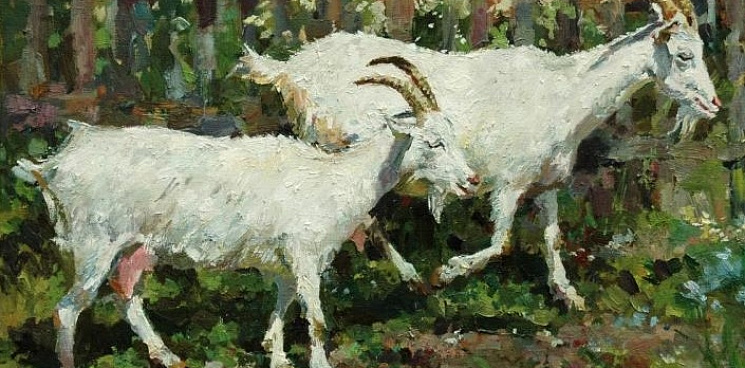 В Сочи фермер на глазах у соседского ребёнка расстрелял стадо коз