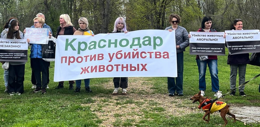 В Краснодаре провели пикет против законопроекта об эвтаназии бродячих собак