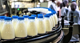 На Кубани в 2021 году на производство молока направят более 1 млрд рублей