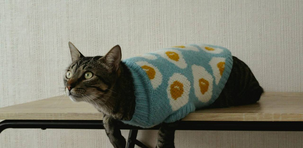 «Дома дубарь, сплю в свитере и под двумя одеялами». Жители Краснодара массово жалуются на холод в квартирах. Что делать, если у вас так же?