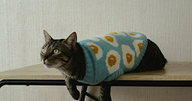 «Дома дубарь, сплю в свитере и под двумя одеялами». Жители Краснодара массово жалуются на холод в квартирах. Что делать, если у вас так же?