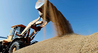 Мир на пороге продовольственного кризиса - пшеницы осталось на 10 недель