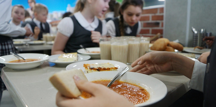  «Питайтесь знаниями, у школы закончились деньги!» В школах Новороссийска истекают сроки контракта на бесплатное питание для учеников