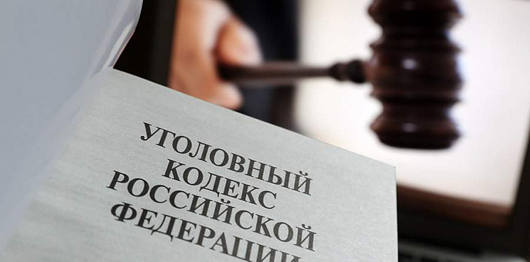 Зампред Госдумы предложила дополнить УК РФ «диверсионными» статьями