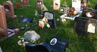 «Из дендропарка в кладбище домашних животных!» В Новороссийске местные жители хоронят своих умерших любимцев прямо под свежими посадками деревьев