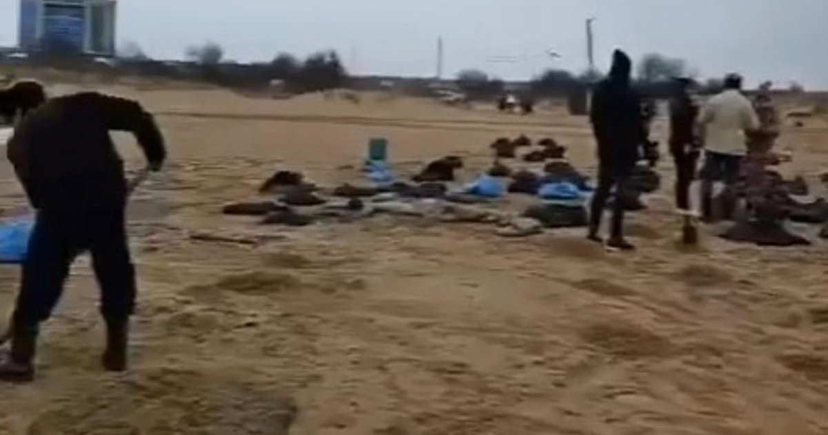 Жители станицы под Анапой жалуются на отсутствие помощи в очистке от мазута