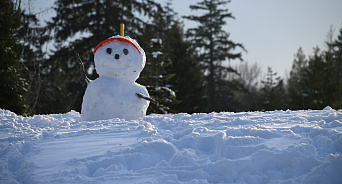 «Кованым сапогом раздавим снеговиков!» В Краснодаре сотрудница охраны в парке Галицкого снесла голову снеговику – ВИДЕО 