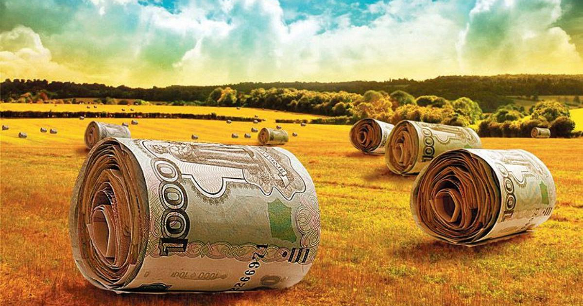 На Кубани администрация района выдала лжефермерам более 5 млн рублей субсидий  