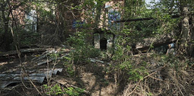 Шприцы, воткнутые в деревья, и эксгибиционисты: в Краснодаре парк «Солнечный остров» превращается в притон 