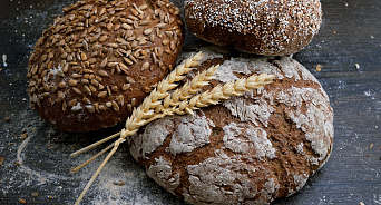 «Больше не житница?» Московская область обогнала Кубань по производству хлеба
