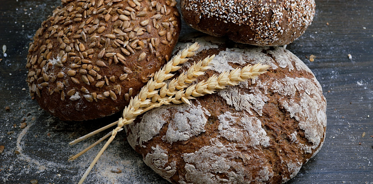 «Больше не житница?» Московская область обогнала Кубань по производству хлеба