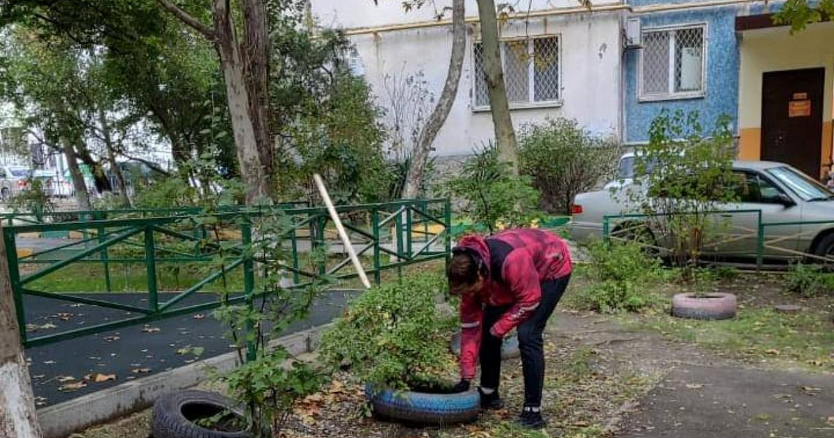 Жители Новороссийска выступают против клумб из старых покрышек во дворах города
