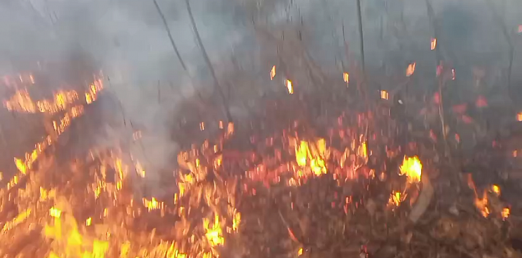 «Выходные с огоньком»:  в Горячем Ключе ликвидировали пожар на площади более трёх гектаров