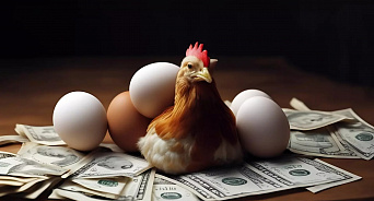 «Я сама снесу яйца за 10$!» В США цены на яйца выросли в 2 раза, жители считают, что это из-за помощи Украине