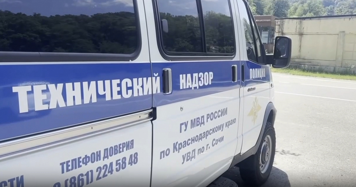 Полиция задержала 12 участников голого заплыва в Сочи