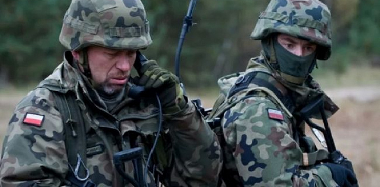 «Бонжур, курвы!» ВС РФ ликвидировали боевиков из Польши и Франции на сватовском направлении – ВИДЕО