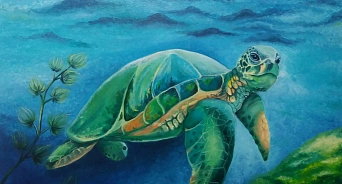 Стала известна судьба краснокнижной черепахи, найденной в Анапе
