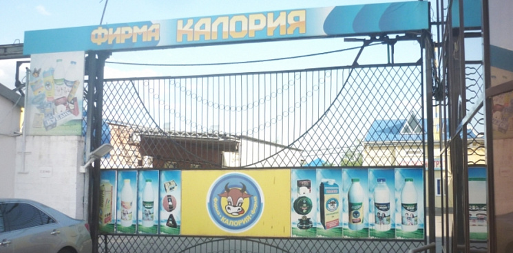Кубанский молочный завод из-за санкций поменяет упаковку