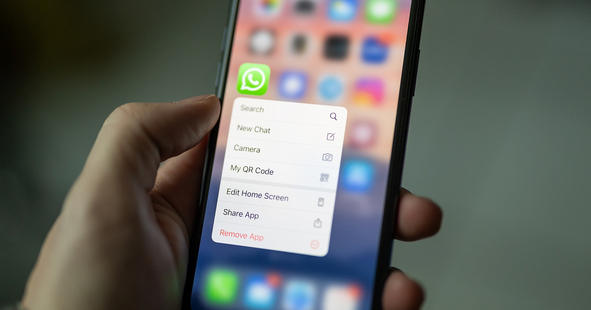 В Краснодаре родителей школьников заставляют закрыть чаты в WhatsApp*