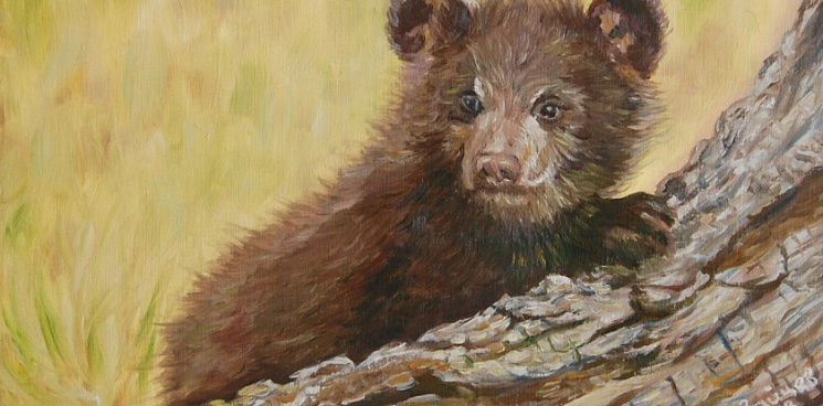 В Грозном медвежонок укусил девушку во время съемки «милого» видео 