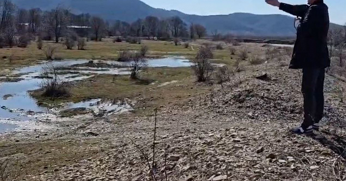 Тушки собак с пулевыми отверстиями нашли в селе на Кубани