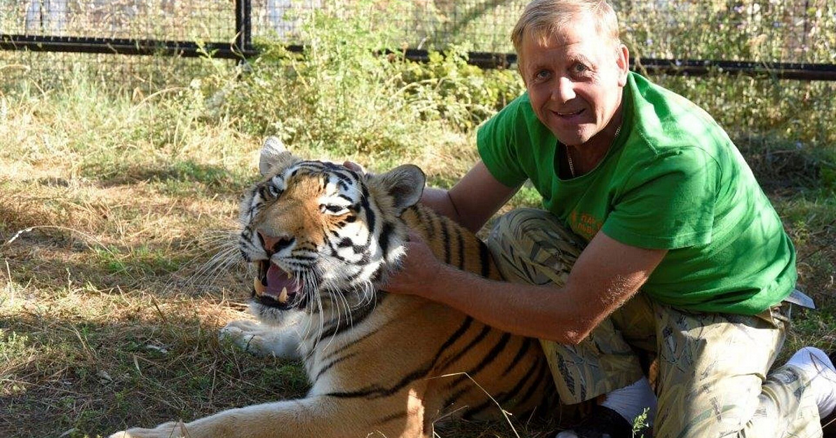Директора зоопарка, в котором ребёнок остался без пальца, посадили несправедливо?