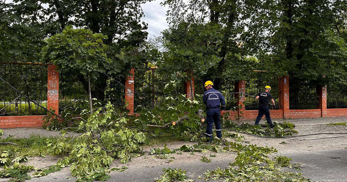  «Без связи, электричества и кровли!» В Краснодаре «разгулялась» стихия, спасателям поступило более 50 жалоб от горожан