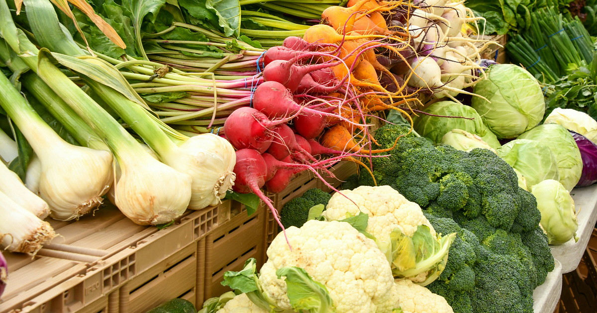 На юге России проконтролировали ввоз почти 1 млн тонн подкарантинной продукции