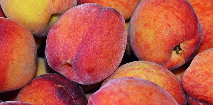 «Турецкие персики сгнили, как проект газового хаба и «зерновая сделка»?» Из Новороссийска в Турцию вернут более 36 тонн заражённых персиков