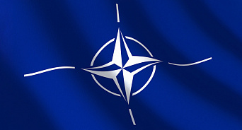 «НАТО координировало вторжение в Белгородскую область?» ВС РФ ликвидировали свыше 70 украинских диверсантов и их технику - они грабили и обстреливали мирных: ВИДЕО