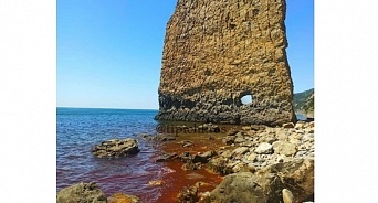 На Кубани покраснело море