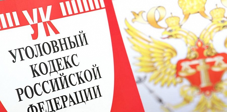 В России могут ввести уголовное наказание за призывы к санкциям