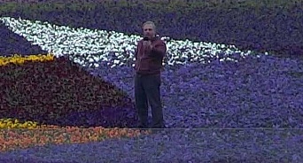 Парк «Краснодар» подаст в суд на гостя, который вытоптал цветы в композиции