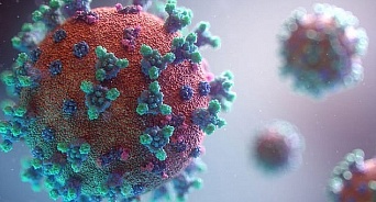 На Кубани за последние сутки выявили 260 заболевших коронавирусом