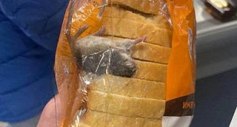 «Украинские «деликатесы»: в киевских хлебобулочных изделиях находят мышей, а в Одессе продают «патриотическую» шаурму - ВИДЕО