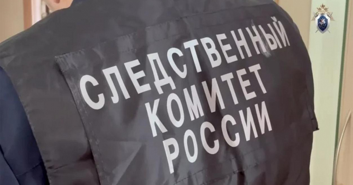 Бастрыкин затребовал доклад по делу об убийстве подростком матери в Сочи