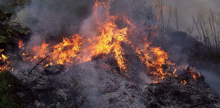 Краснодарский край вошел в топ регионов, где произошло более 90% пожаров