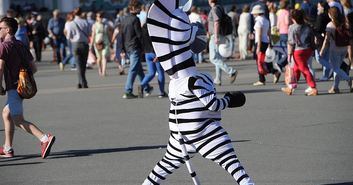 В Сочи выписали штраф навязчивому аниматору в костюме «зебры»